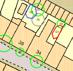 BS5837 plan