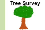 Tree Survey software on Android