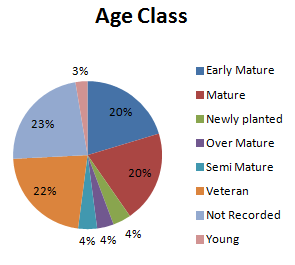 TreeSafety excel chart 4